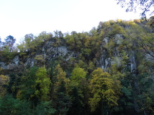 Südtirols Urwälder, Hopfenbuchenwald auf Felsen